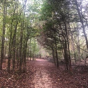 Meet your Posher, Pam